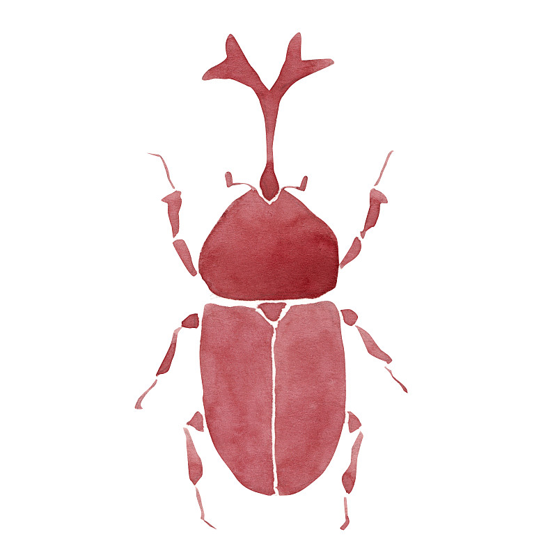 犀牛甲虫简笔画图片