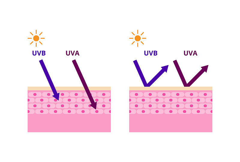 UVA和UVB辐射类型，防晒矢量图下载