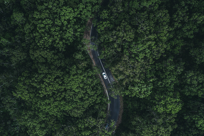 正上方视角拍摄南澳大利亚汽车穿过一片森林图片下载