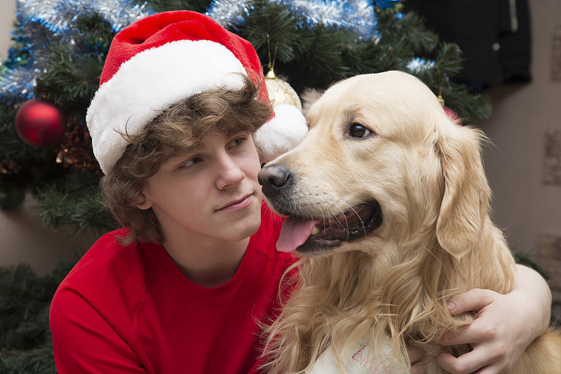 一名少年和一只戴着红帽子的狗在圣诞树旁。图片下载