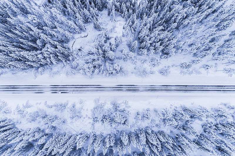 穿越森林的冬季道路图片下载