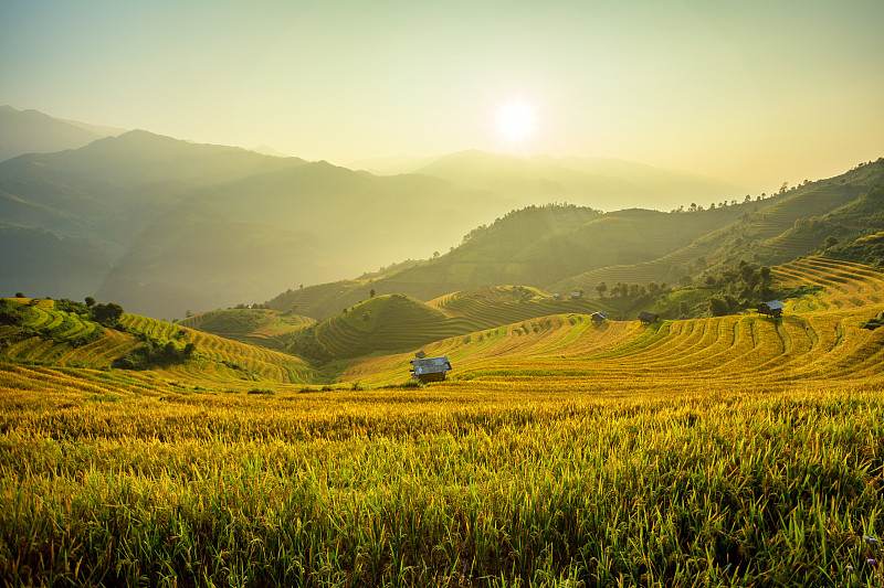 越南的稻田梯田山绿色图片素材