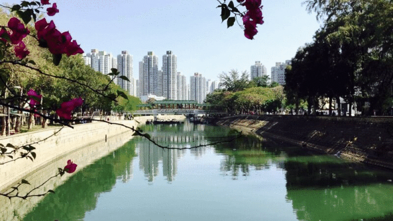 宁静的城市河流与城市景观的背景，太保，香港，中国图片下载