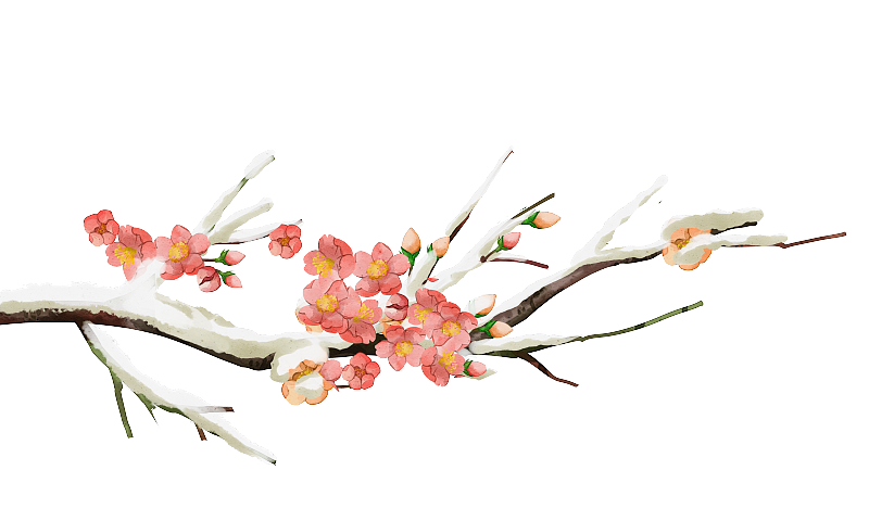 中国风花卉梅花冬天插画植物元素图片