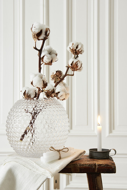 冬季的棉铃摆放在玻璃花瓶里图片下载