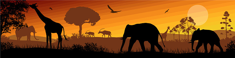 非洲野生动物剪影景观景色图片下载