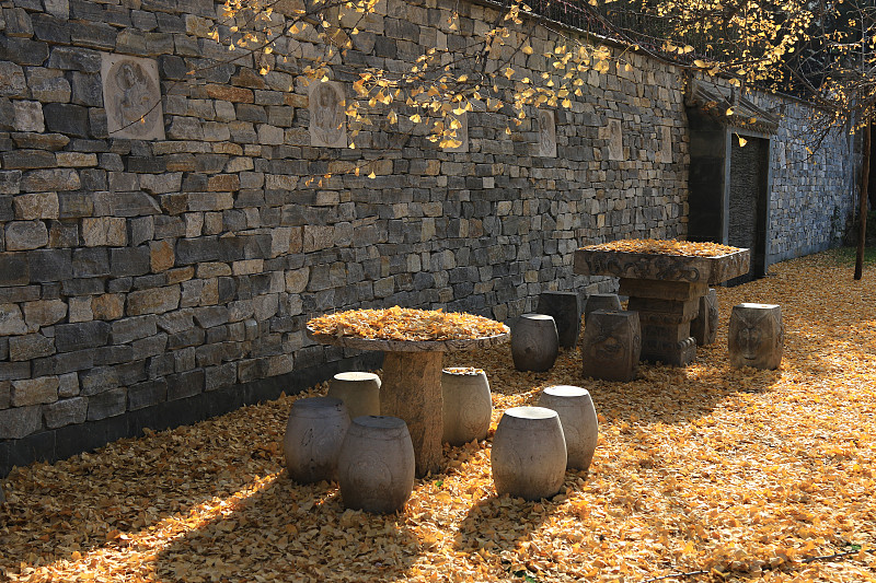深秋西安古观音禅寺银杏树下落满落叶的两套石桌凳图片下载