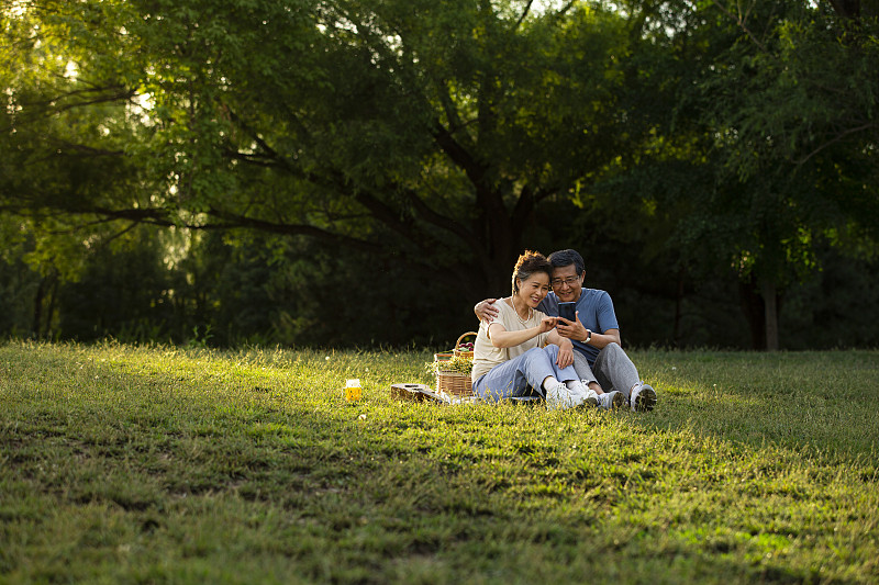老年夫妻在户外公园野餐使用手机图片下载