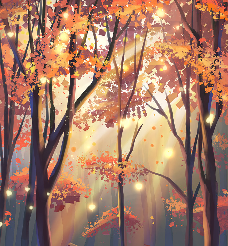 秋天的树林图片下载