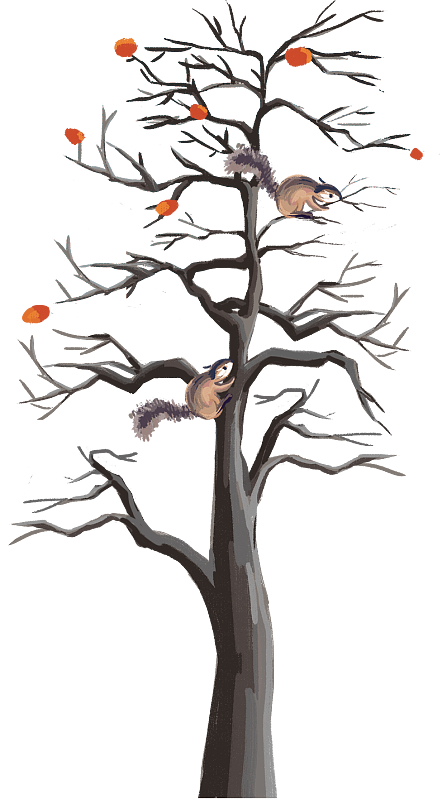 秋季有松鼠的柿子树手绘插画图片