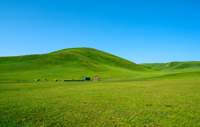 牧场山坡下绿油油的草原图片素材