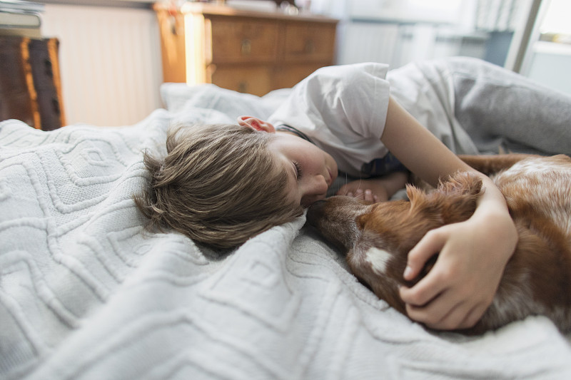 可爱的男孩抱着狗在床上图片素材