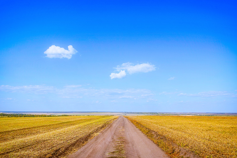 俄罗斯Lebedyan，天空下的农田风景图片素材