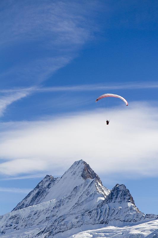 Schreckhorn山和滑翔伞，格林德沃，伯恩斯高地地区，伯尔尼，瑞士，欧洲图片素材