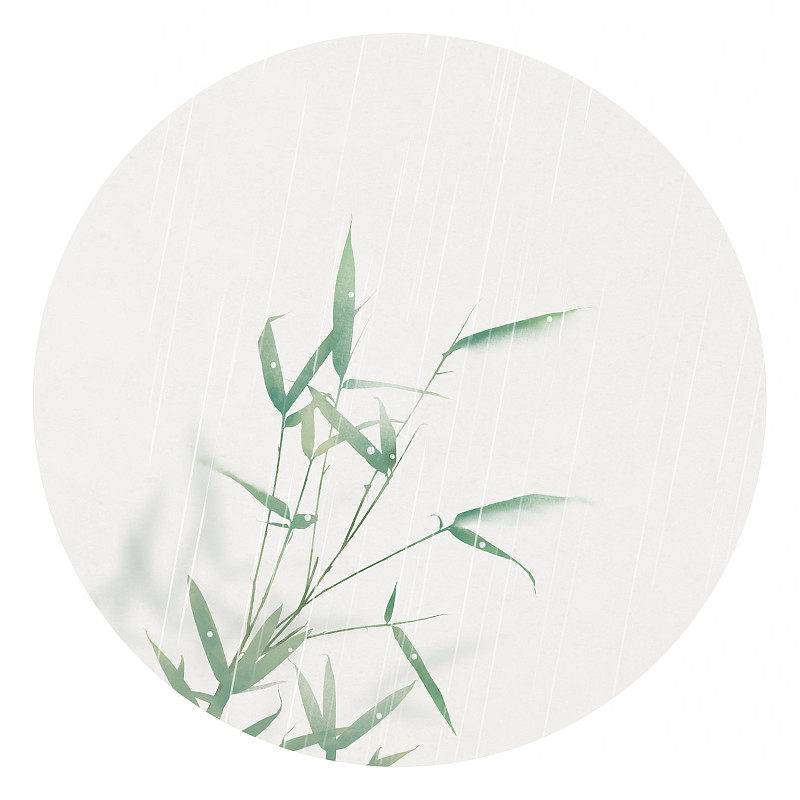 竹子雨插画图片