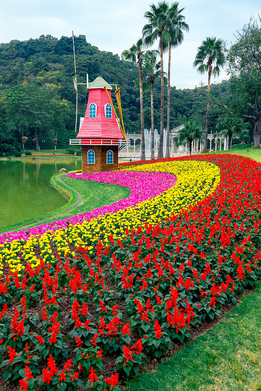 广州云台花园大风车和漂亮的花从，很适合拍法式复古风片子的地方图片下载