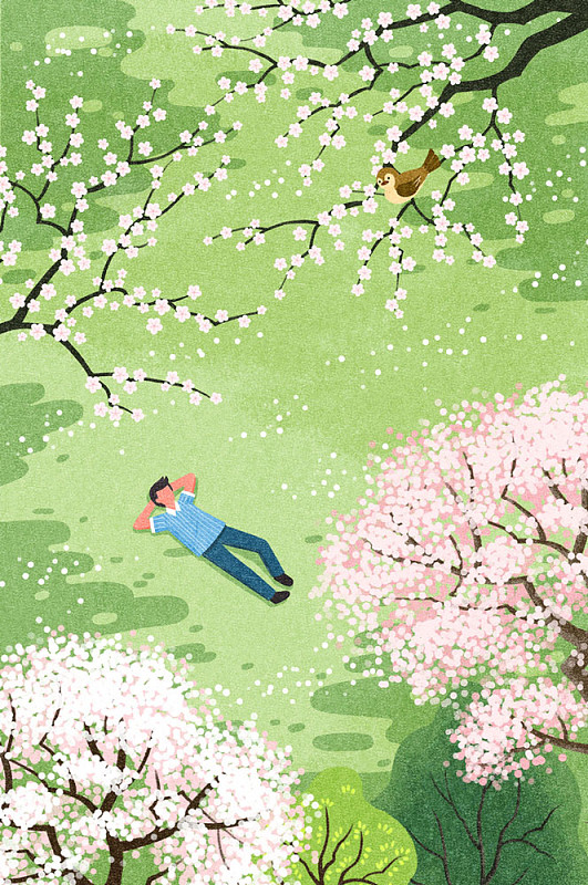一个人躺在草地上休息在樱花树和鸟在上面图片素材