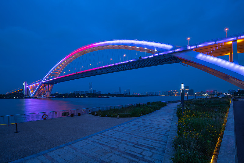上海城市景观卢浦大桥夜景图片素材