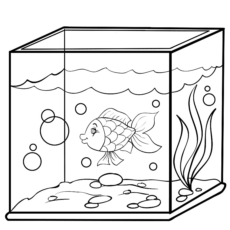 用画鱼的画册画鱼缸图片