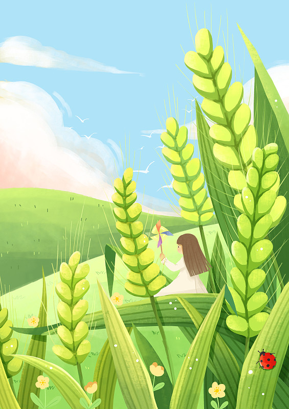 小满节气小麦夏日夏季风景插画节气海报图片