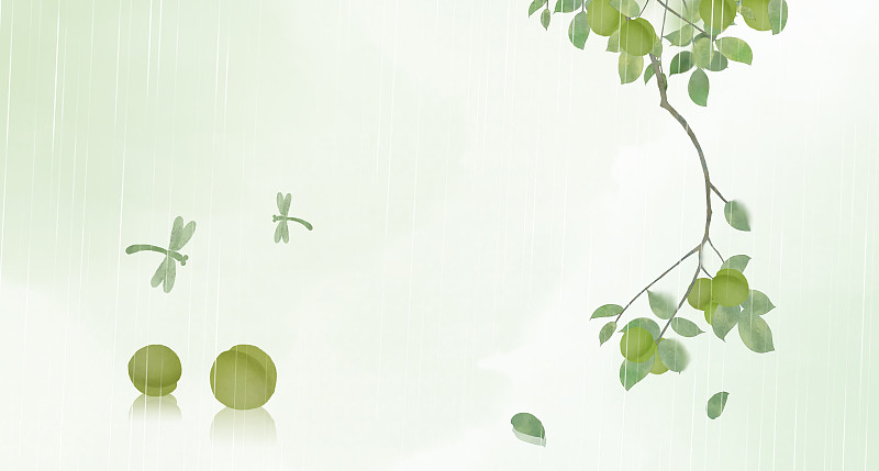 谷雨中式横版插画图片