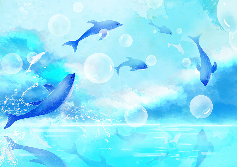 海豚动漫 唯美图片