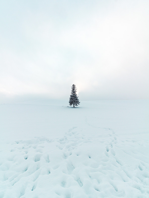 白雪覆盖的土地与天空的风景图片下载