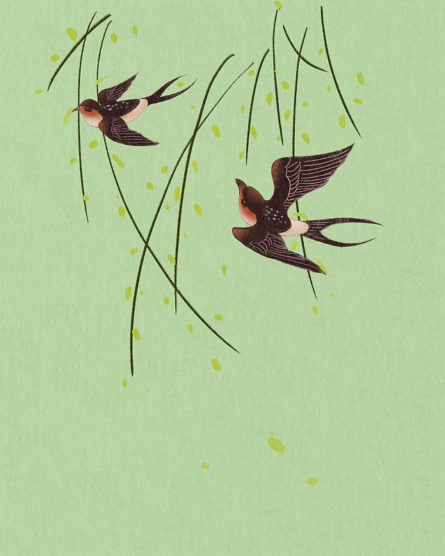 春天燕子在柳树中飞翔图片素材