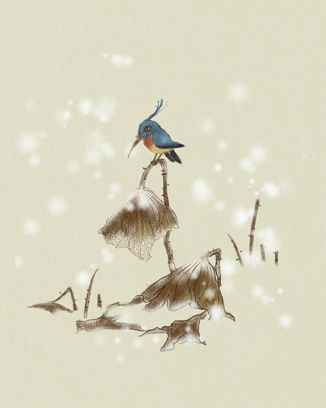 冬天雪中残荷和翠鸟插画图片