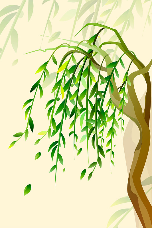 简约国风植物柳树图片素材