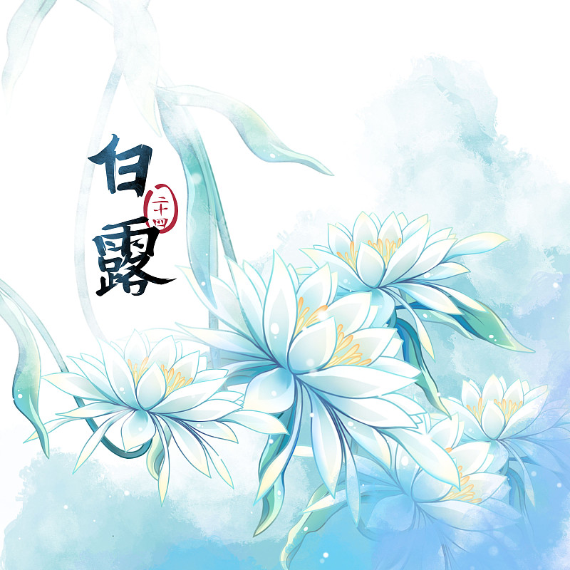 白露节气——昙花——二十四节气系列唯美花卉插画下载