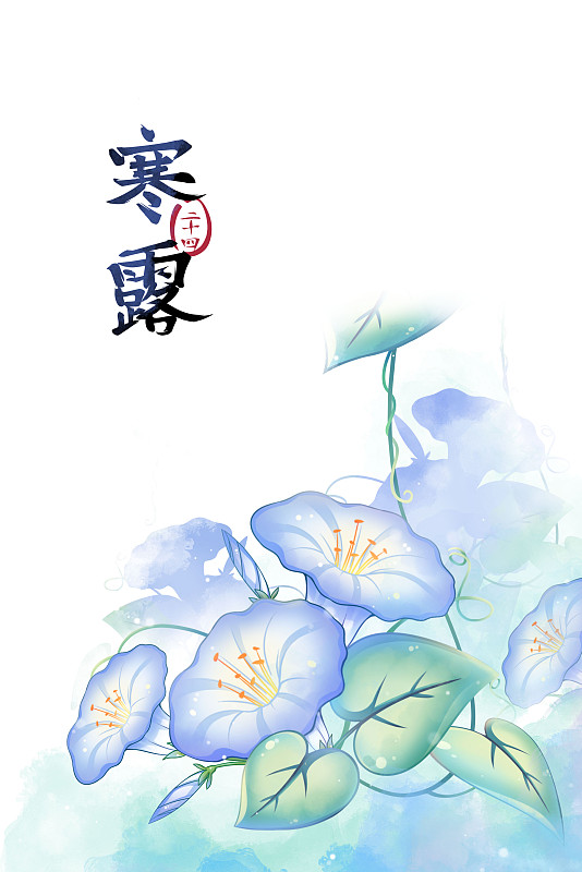 寒露——牵牛花，古风水彩二十四节气系列唯美花卉插画下载