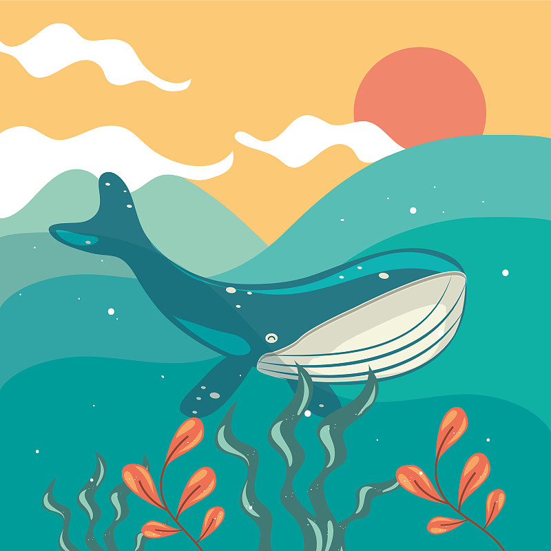 水下鲸鱼的场景插画图片