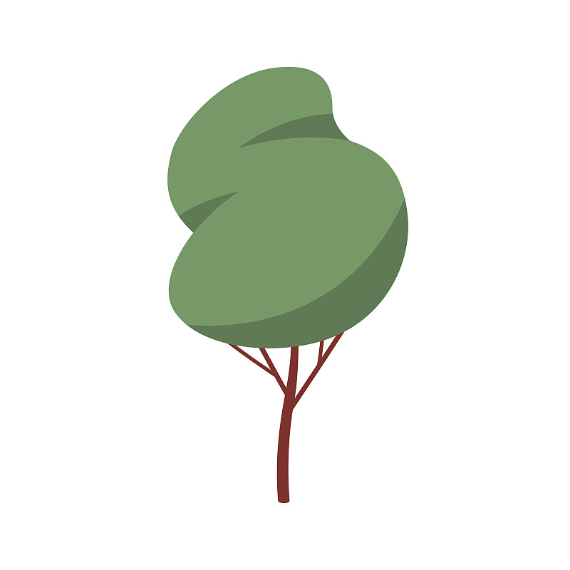 森林落叶乔木抽象木植物用插画图片