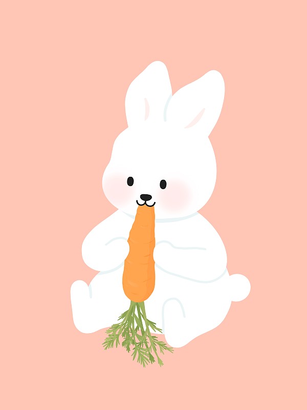 吃胡萝卜的可爱兔子图片下载