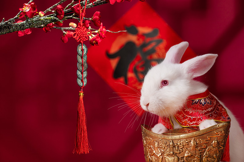 新年福字和小白兔图片下载