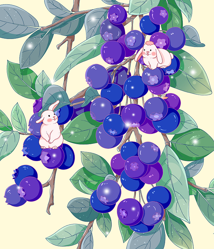 蓝莓成熟了图片下载