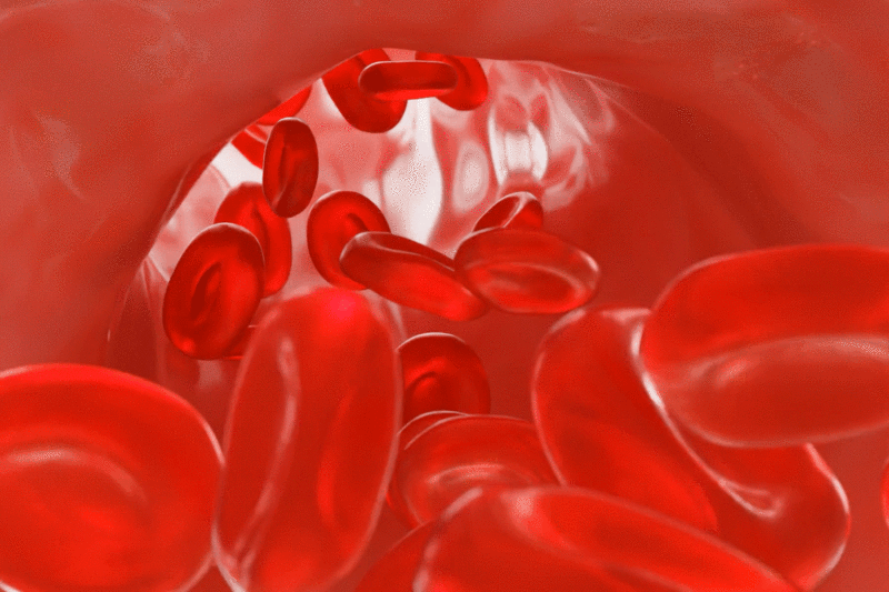 3D渲染的生物医疗人流动的血液血管红细胞动态图片插画下载