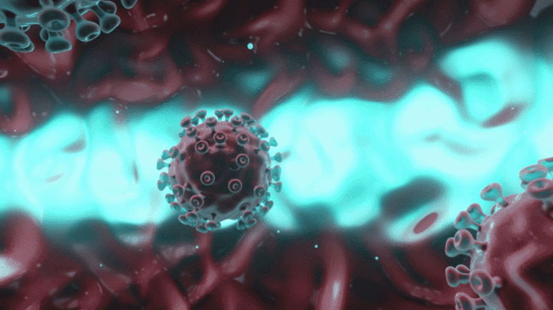 运动的红色球形冠状病毒图片下载