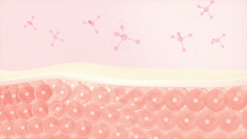 皮肤细胞与吸收的分子3D渲染插画下载