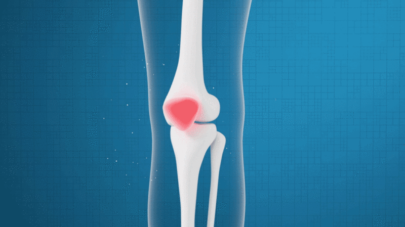 腿部膝盖骨骼与药物吸收3D渲染图片下载
