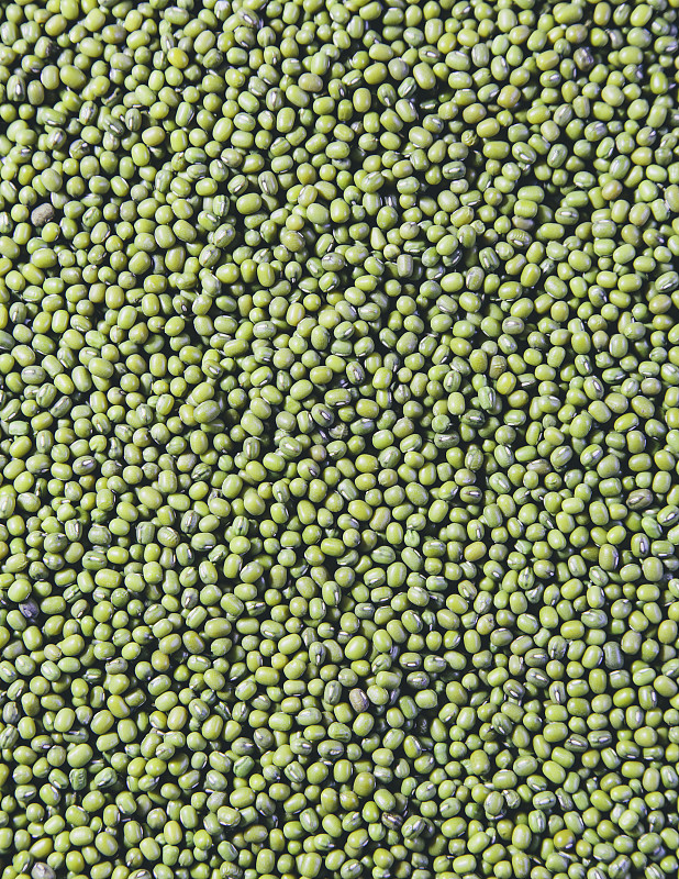 绿豆，也被称为绿克或金克，原产于印度。图片下载