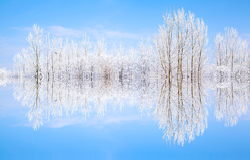 覆盖着厚厚的白雪的湖边风景图片素材