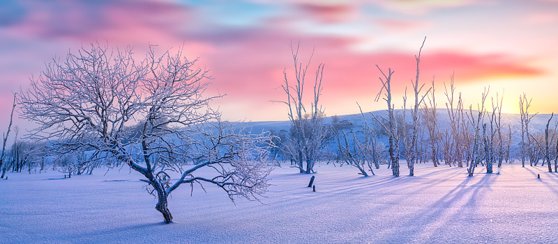 乌兰布统雪后日出图片下载