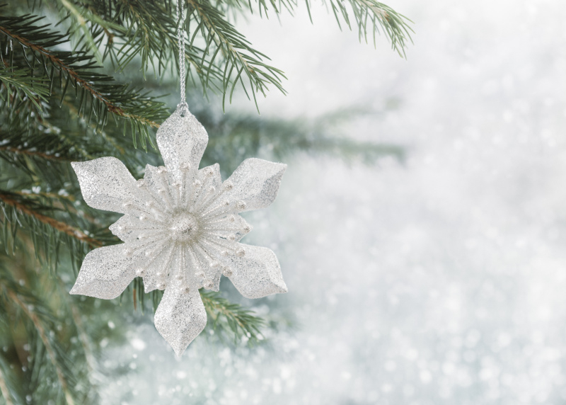 白雪皑皑的圣诞树图片素材