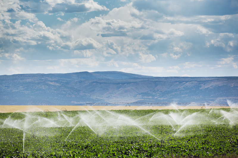 采购产品灌溉设备，农业水洒水器灌溉农场植物作物田图片下载
