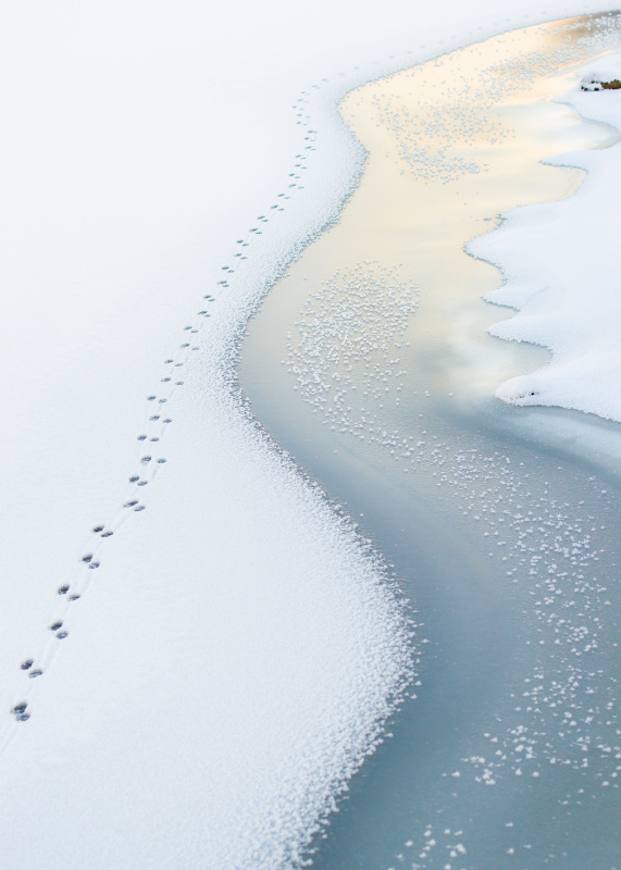 冰海上的足迹图片素材