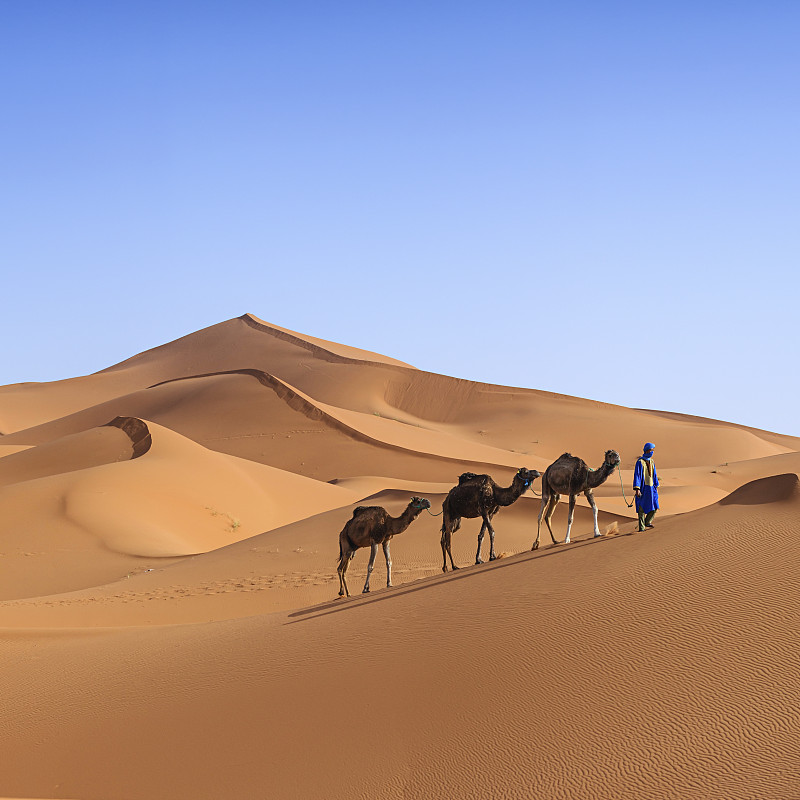 年轻的图阿雷格人和骆驼在非洲西撒哈拉沙漠图片下载