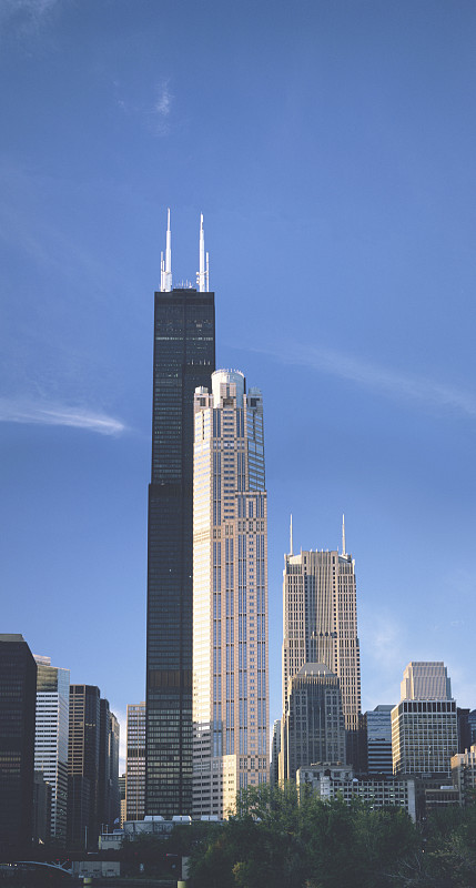 伊利诺伊州芝加哥的摩天大楼图片下载