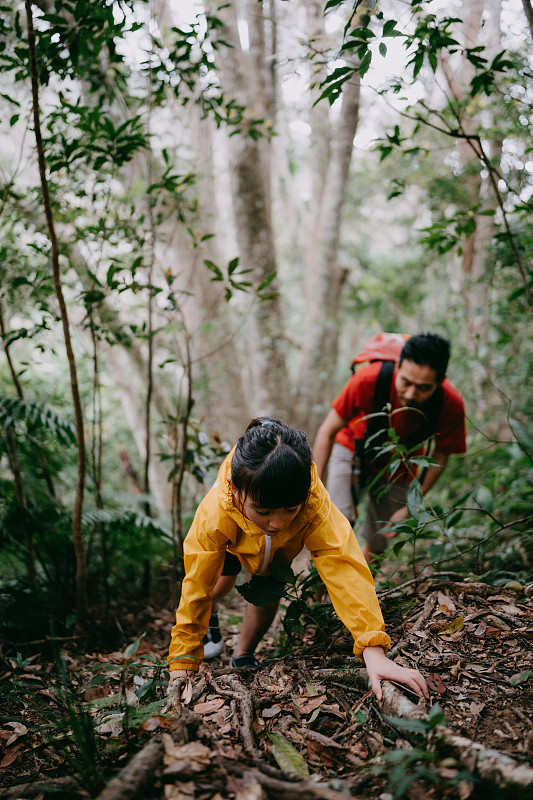 小女孩和爸爸在日本冲绳的森林里徒步旅行图片下载